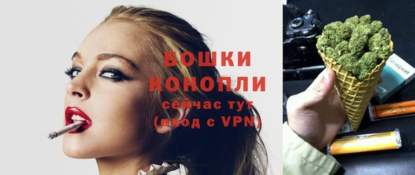 мдпв Волоколамск