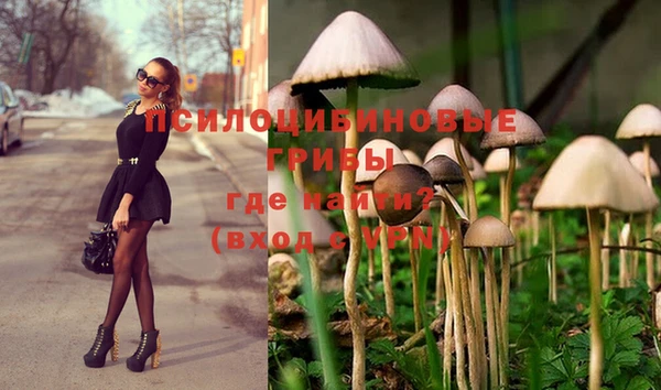 мдпв Волоколамск