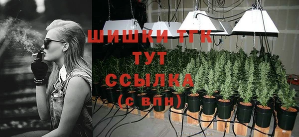 мдпв Волоколамск