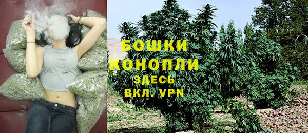spice Верея