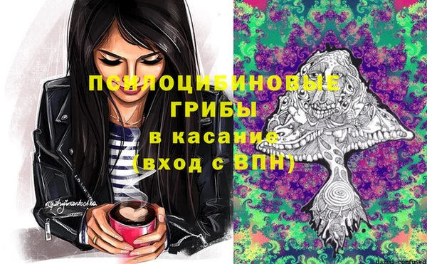 мдпв Волоколамск