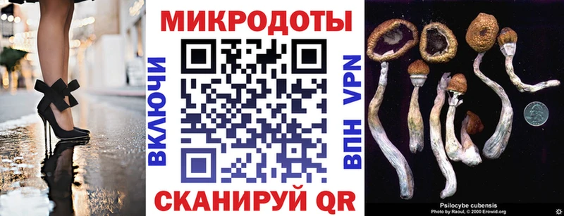 Купить закладки  Волоколамск  Галлюциногенные грибы Cubensis 